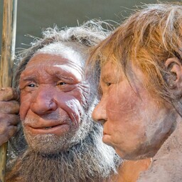 Hispaania koopamuda peitis endas neandertallaste arengulugu