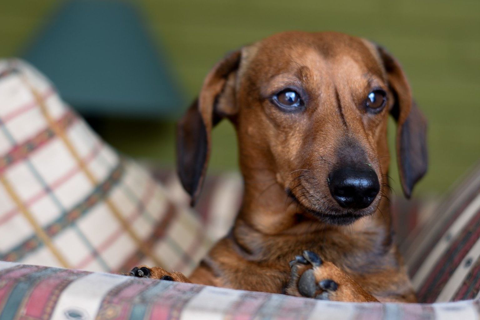 Anekdoot: müü oma taks mulle!