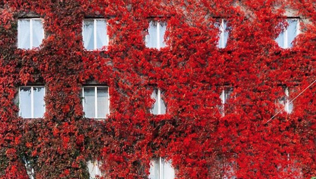 Hea teada: kui osta Soomes venna käest odavalt korter, siis kas see on kingitus?