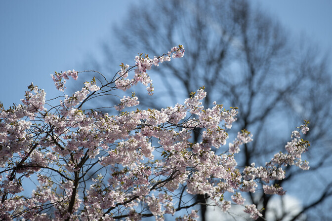 Nädalavahetus on jahe, kuid kuiv