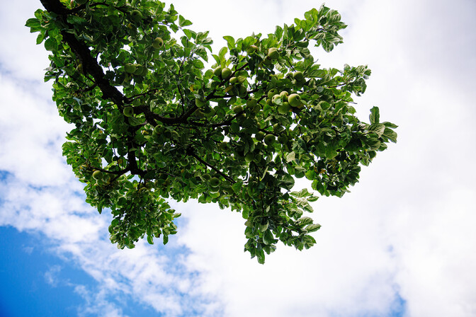 Nädalavahetus on jahe