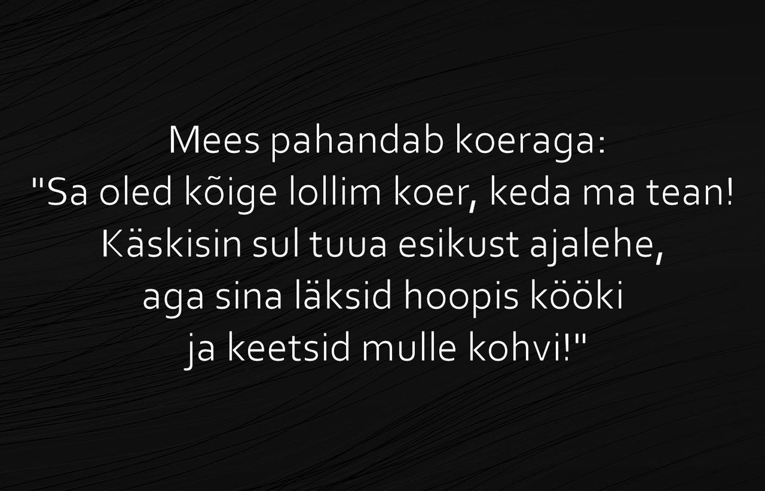 Sa oled kõige lollim koer