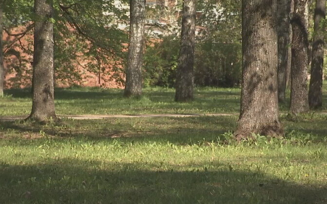 Tartu plaanib mõnel pool niita looduse hoidmiseks suvel vaid korra