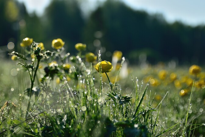 Teisipäev toob mitmele poole vihmahood