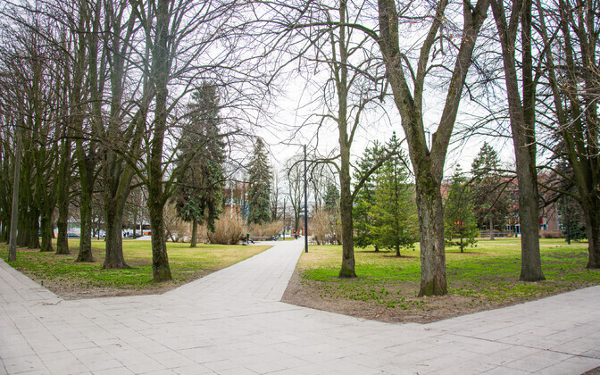 Valgusreostus hakkab linnalindude toidulauale