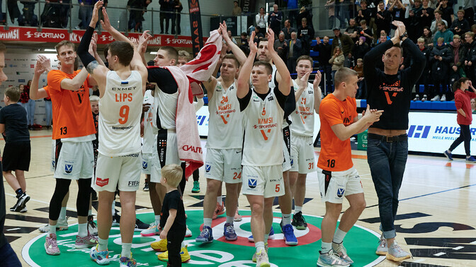 Viimsi viigistas pronksiseeria