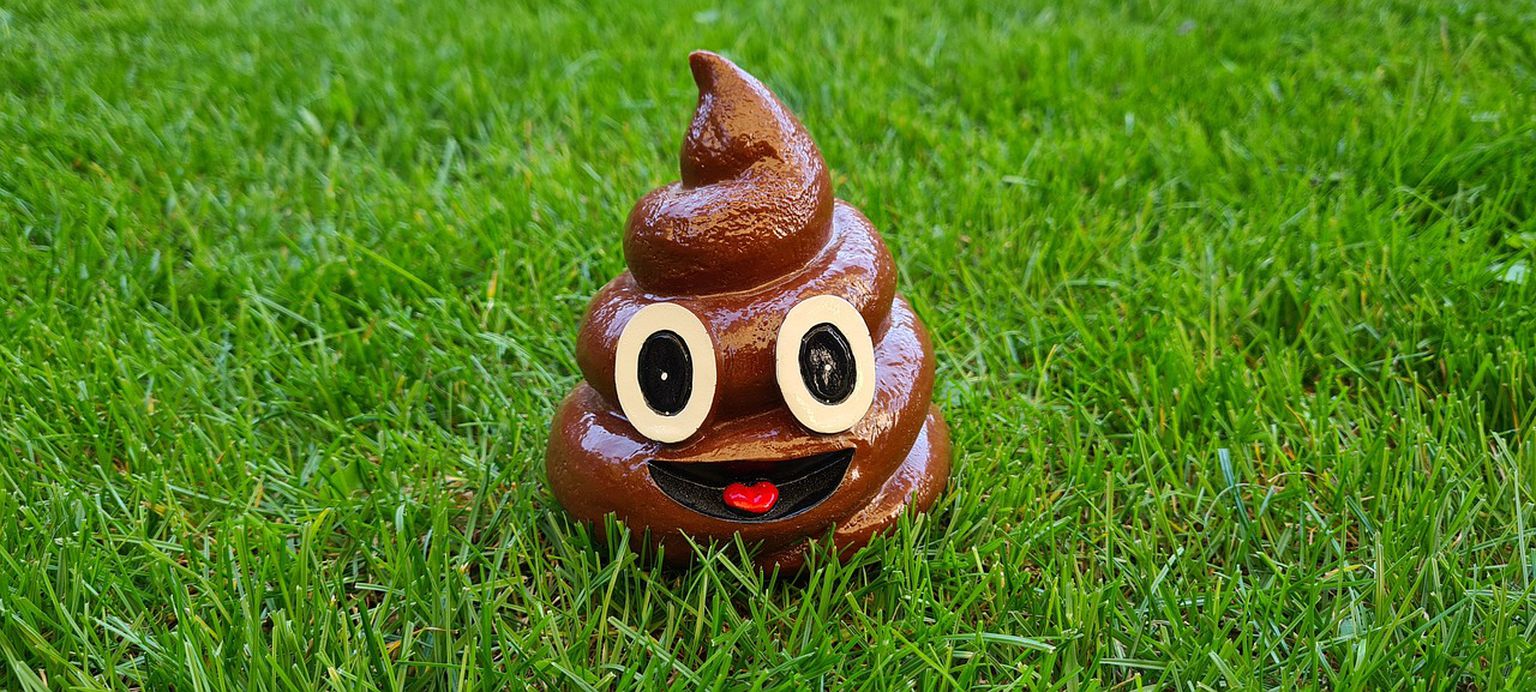 Anekdoot: junn, mis murul lebab