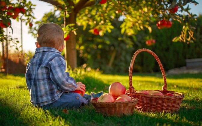 Eesti lastekaitsetöötajad peavad rinda pistma ähvardustega
