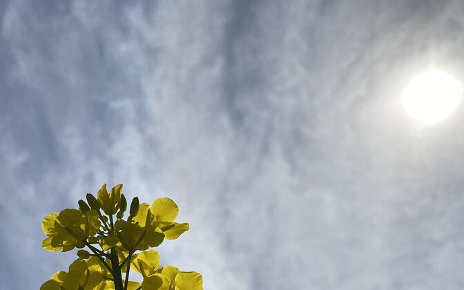 Ilm läheb veelgi soojemaks