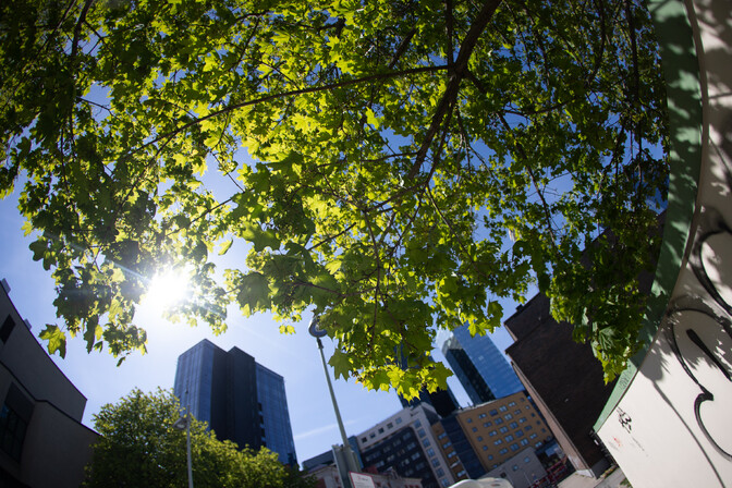 Jaanipäeval püsib päikesepaisteline ilm