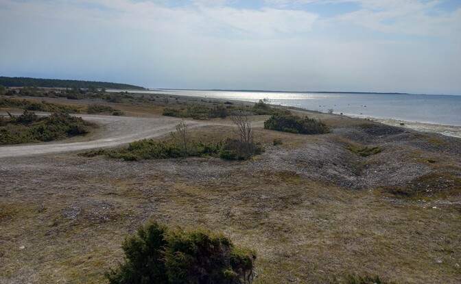 Kolmapäev on sajuta, õhtul tugevneb tuul