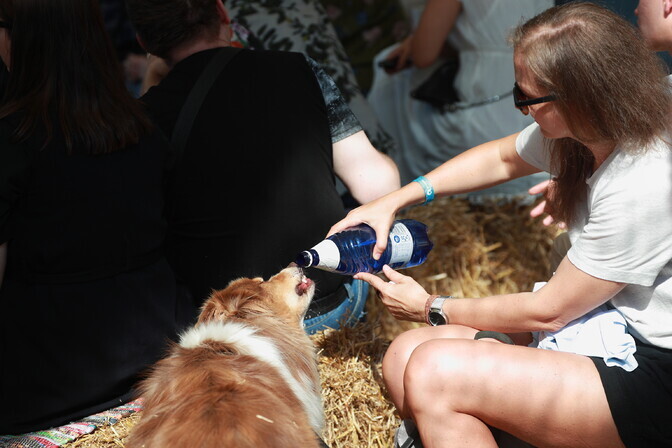 Kolmapäev püsib 30-kraadise soojaga