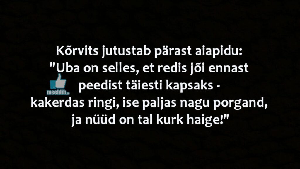 Kõrvits jutustab pärast aiapidu