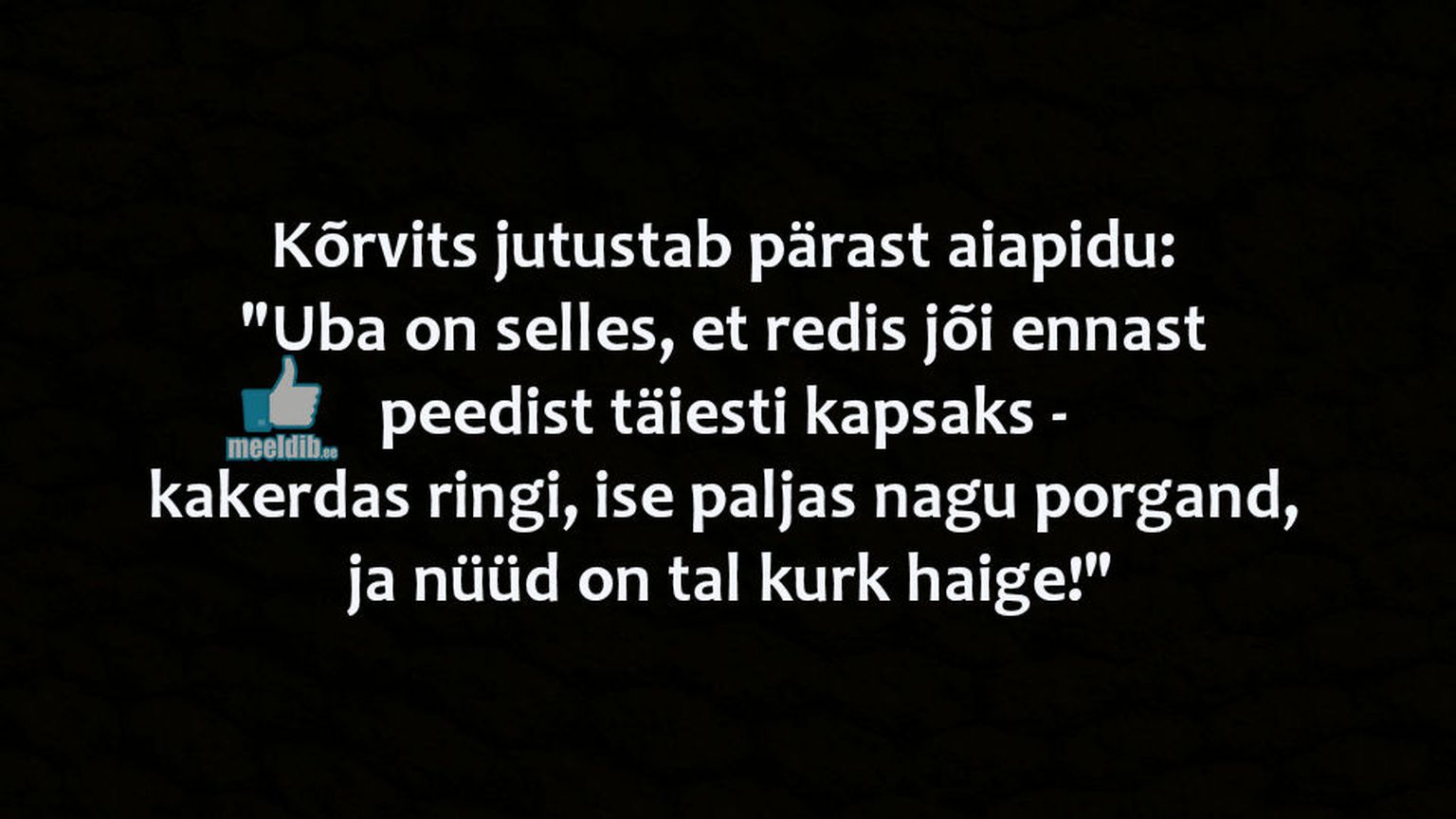 Kõrvits jutustab pärast aiapidu