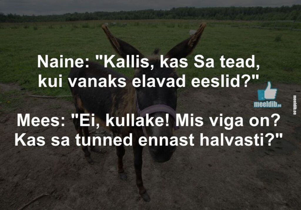 Kui vanaks elavad eeslid?