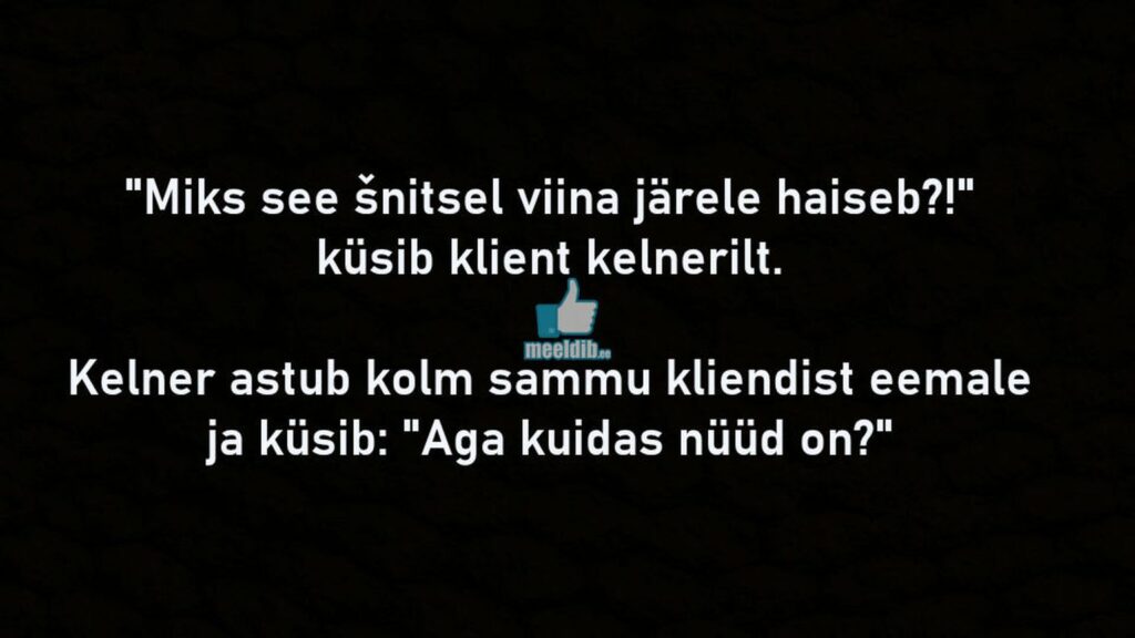 Miks see šnitsel viina järele haiseb?