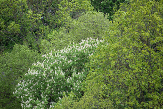 Nädal lõpeb jaheda ja kohati sajuse ilmaga