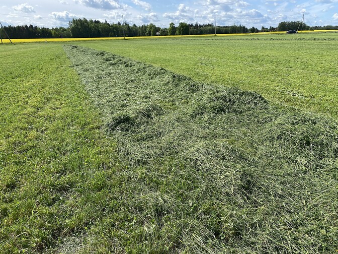 Põllumehed on hädas öökülmade ja mitme aasta suurima põuaga