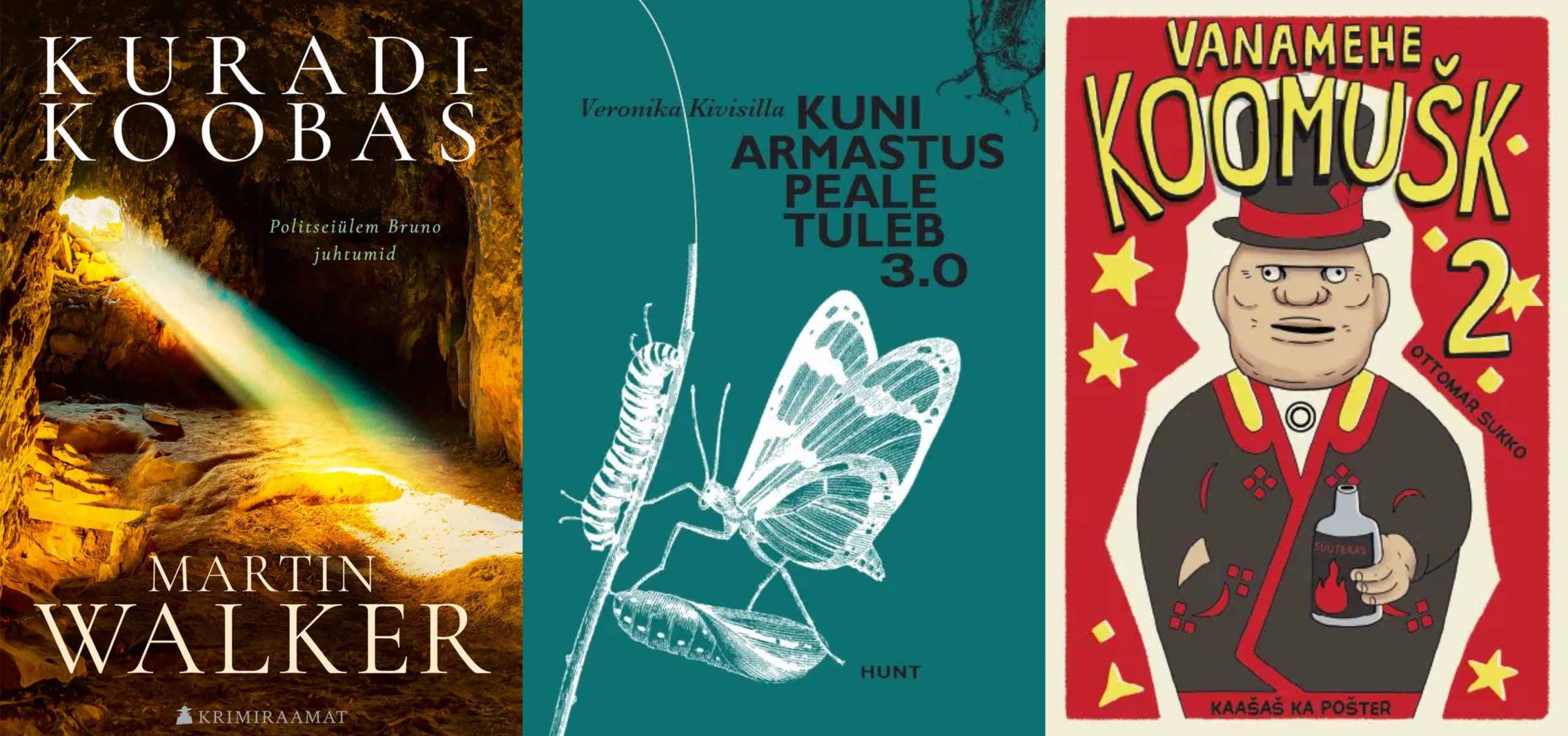 Sinijärve raamatusoovitused: Veronika Kivisillast Vanameheni