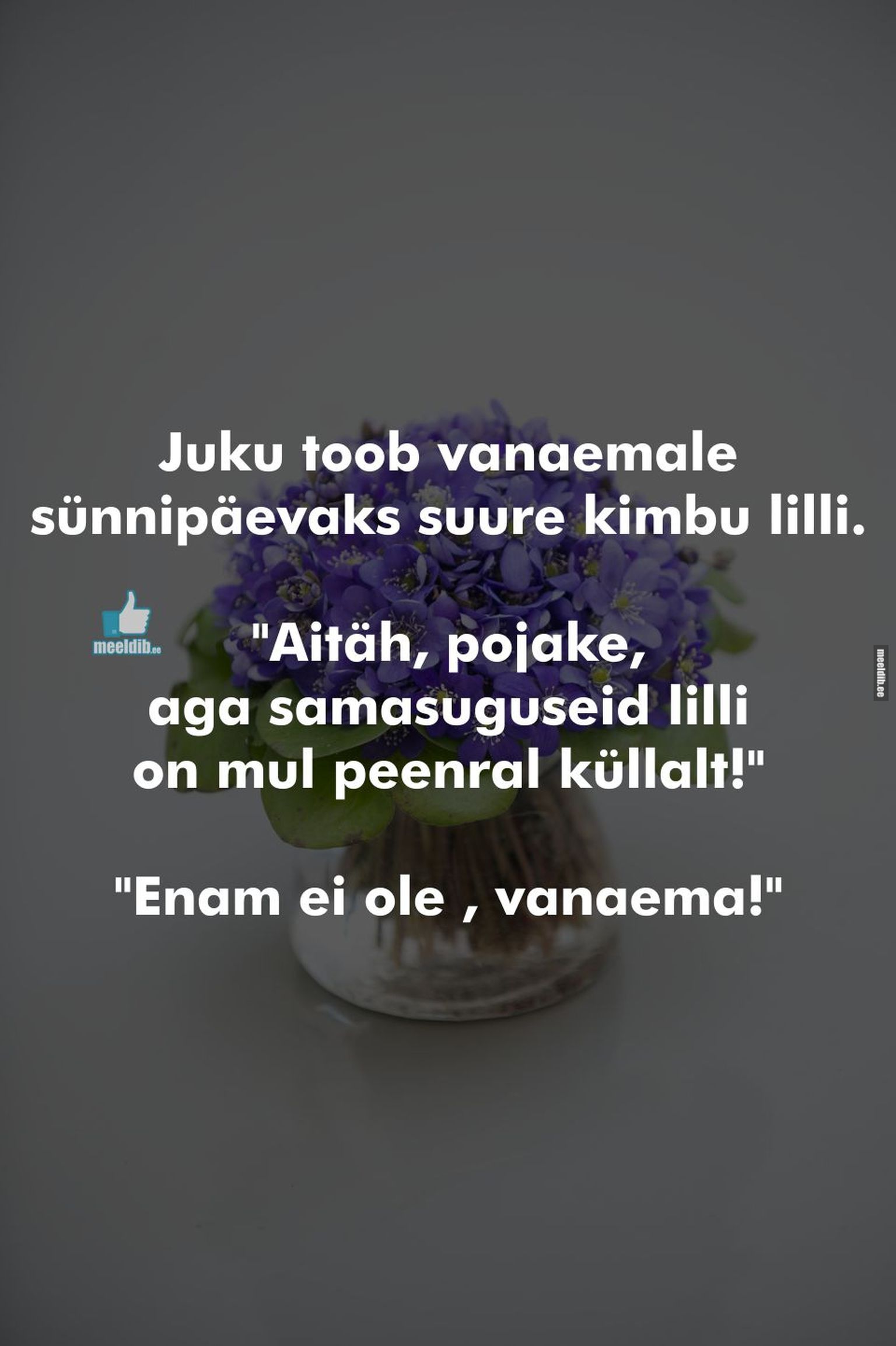 Suur kimp lilli vanaema sünnipäevaks
