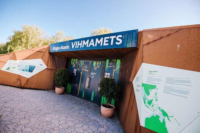 Tallinna Loomaaia vihmametsa ekspositsioon suletakse kuuma tõttu päevaseks ajaks