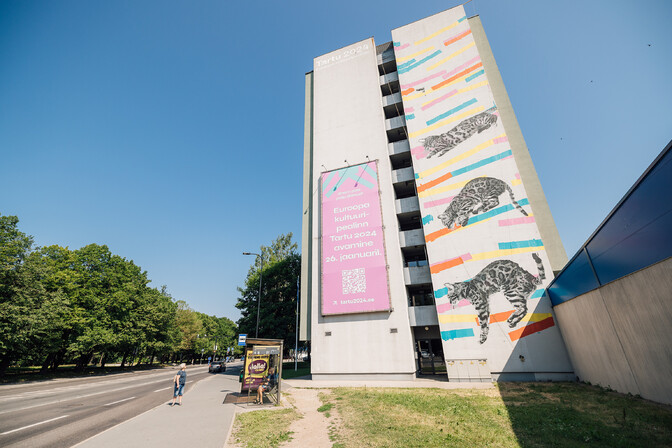 Tartus loodi ühiselamu seinale pilt käppadele kukkuvast kassist