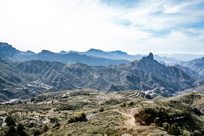 Troopikasaarte mudel tõi ilmsiks Eesti noorte metsade tühjuse