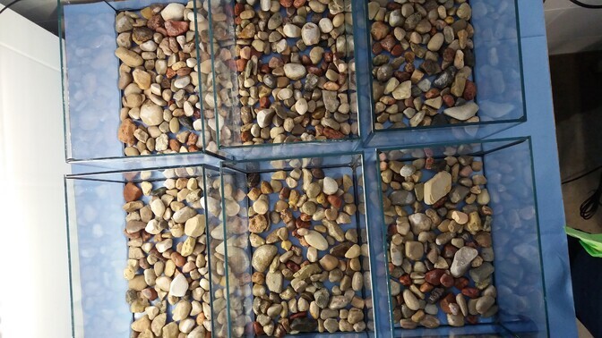 Kerkiv maailmamere tase võib Eesti rannajärved sisse soolata