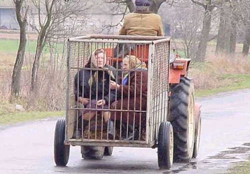 Uudiste transport