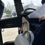 В Мурманске и Североморске сегодня действует бесплатный проезд