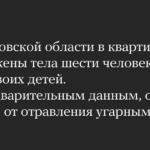 В Саратовской области в квартире обнаружены тела шести человек, в том числе двоих детей. По предварительным данным, они погибли от отравления угарным газом