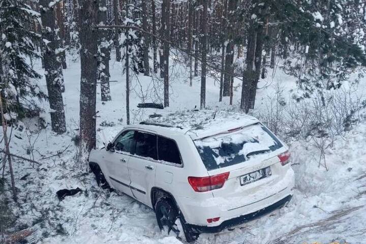 В Тверской области иномарка протаранила дерево, есть пострадавшие