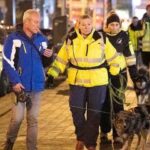 Германия — Где Ноа? Полиция Франкфурта проверяет ближайшее окружение