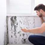 Германия — Плесень, аллергия и залог под угрозой!