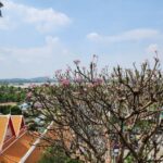 Макао активно притягивало приморских туристов на новогодних каникулах