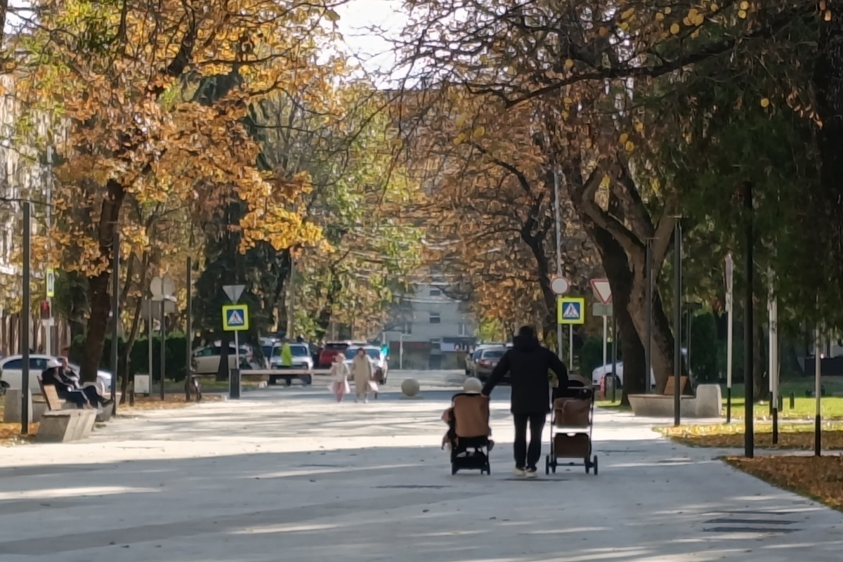 На Ставрополье Тимофей и Матвей стали самыми популярными именами для мальчиков-двойняшек в 2025 году
