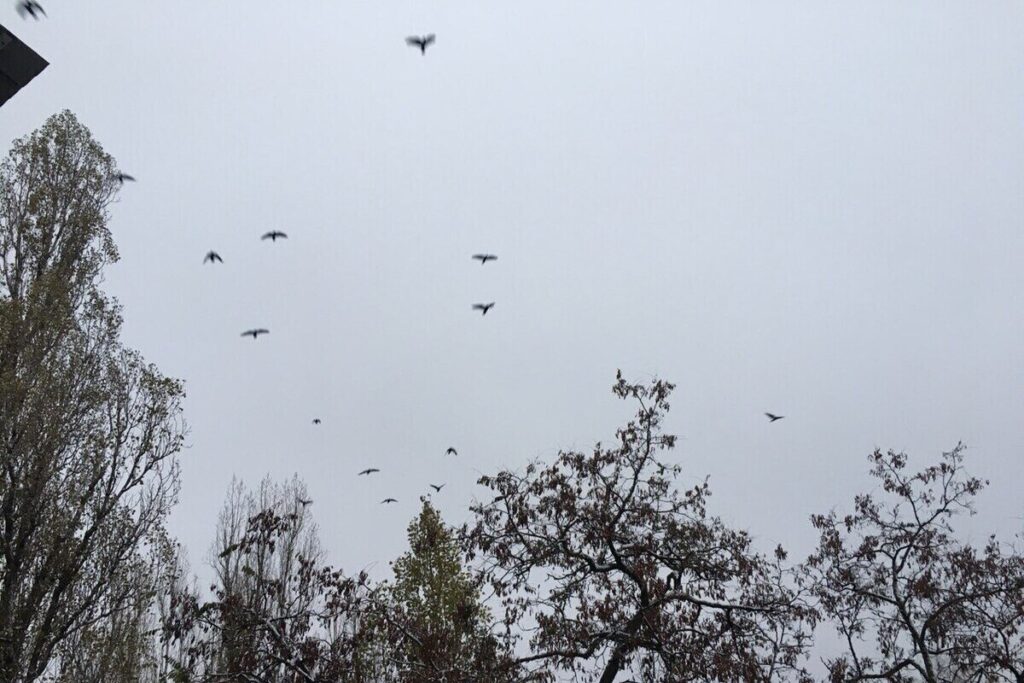 Угрозу атаки БПЛА на Воронежскую область отменили в три часа ночи