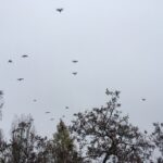 Угрозу атаки БПЛА на Воронежскую область отменили в три часа ночи