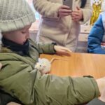 Школьники Суздаля навестили приют для животных «АнгелаДом»