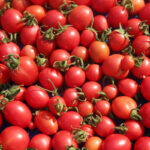 Экстремистам в РФ могут разрешить торговать овощами со своего огорода