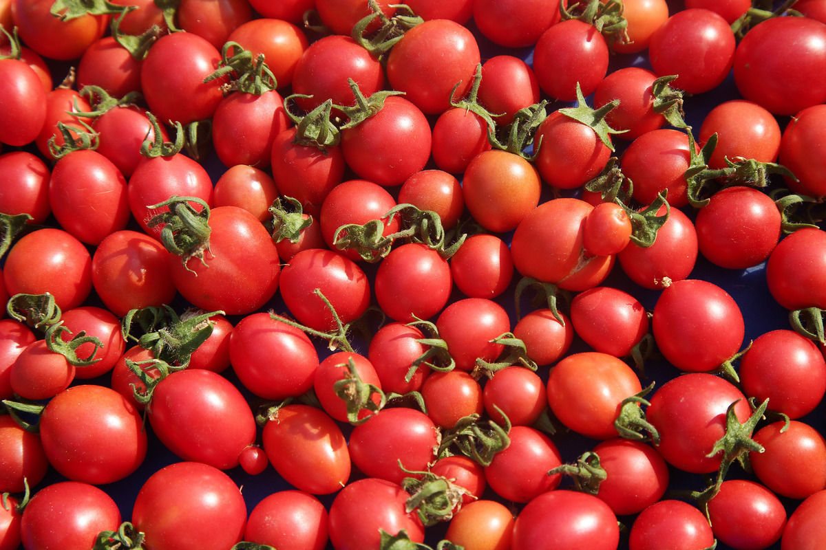 Экстремистам в РФ могут разрешить торговать овощами со своего огорода