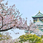 Japani – maa, jossa yksityiskohdat määrittävät kokonaisuuden