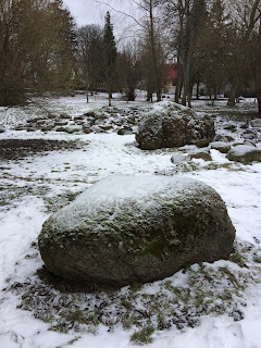 Kadri Mägi-Lehtsi: ei pea käima pikki maid. Piisab, kui teha tiir Kadriorus ühe puu ümber, aga olla kohal