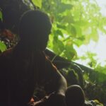 Kinodesse jõuab Eesti kaastootmisel valminud dokfilm “Orjuse saar”