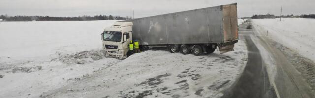 Soojad pesad ja täis kõhud: Eesti metsloomad saavad tänu headele inimestele talve üle elatud