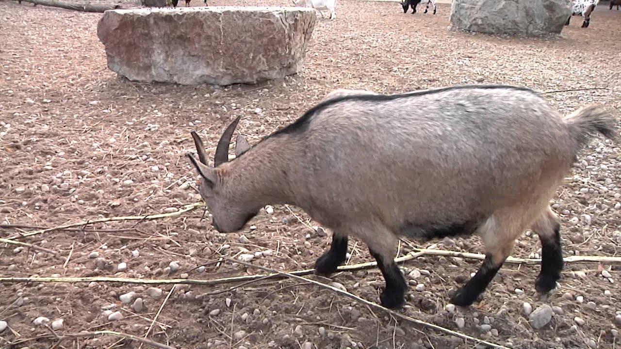 Tallinna Talvefestival pälvis Euroopa EFFE kvaliteedimärgise