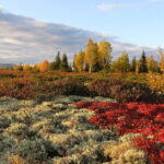 Venemaa sõda jättis polaarteadlased poolpimedaks