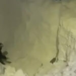 VIDEO: Venemaa mattub lumme – mees kaevas auto välja 5-meetrisest hangest