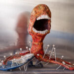 Algas konkurss “Südamega hariduses”