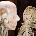 Alzheimeri sümptomite algust võib tulevikus ennustada vereanalüüsiga